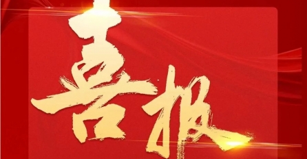 中达集团及多家子公司上榜2024年嘉兴民营企业百强榜单！